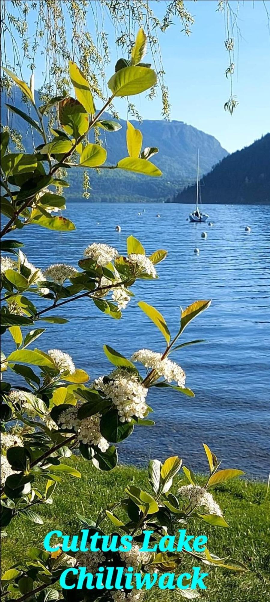 Private Suite 2Br Near Hwy 1, Heritage Park, Coliseum, Cultus Lake, Fishing, Chilliwack Rum bild